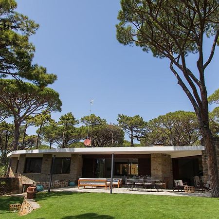 Villa Roccapini Castiglione della Pescaia Εξωτερικό φωτογραφία