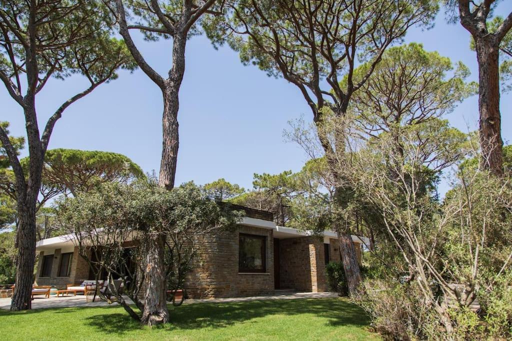 Villa Roccapini Castiglione della Pescaia Εξωτερικό φωτογραφία